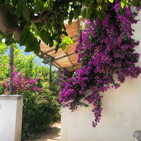 Casa Flora Panzió Vietri Kültér fotó