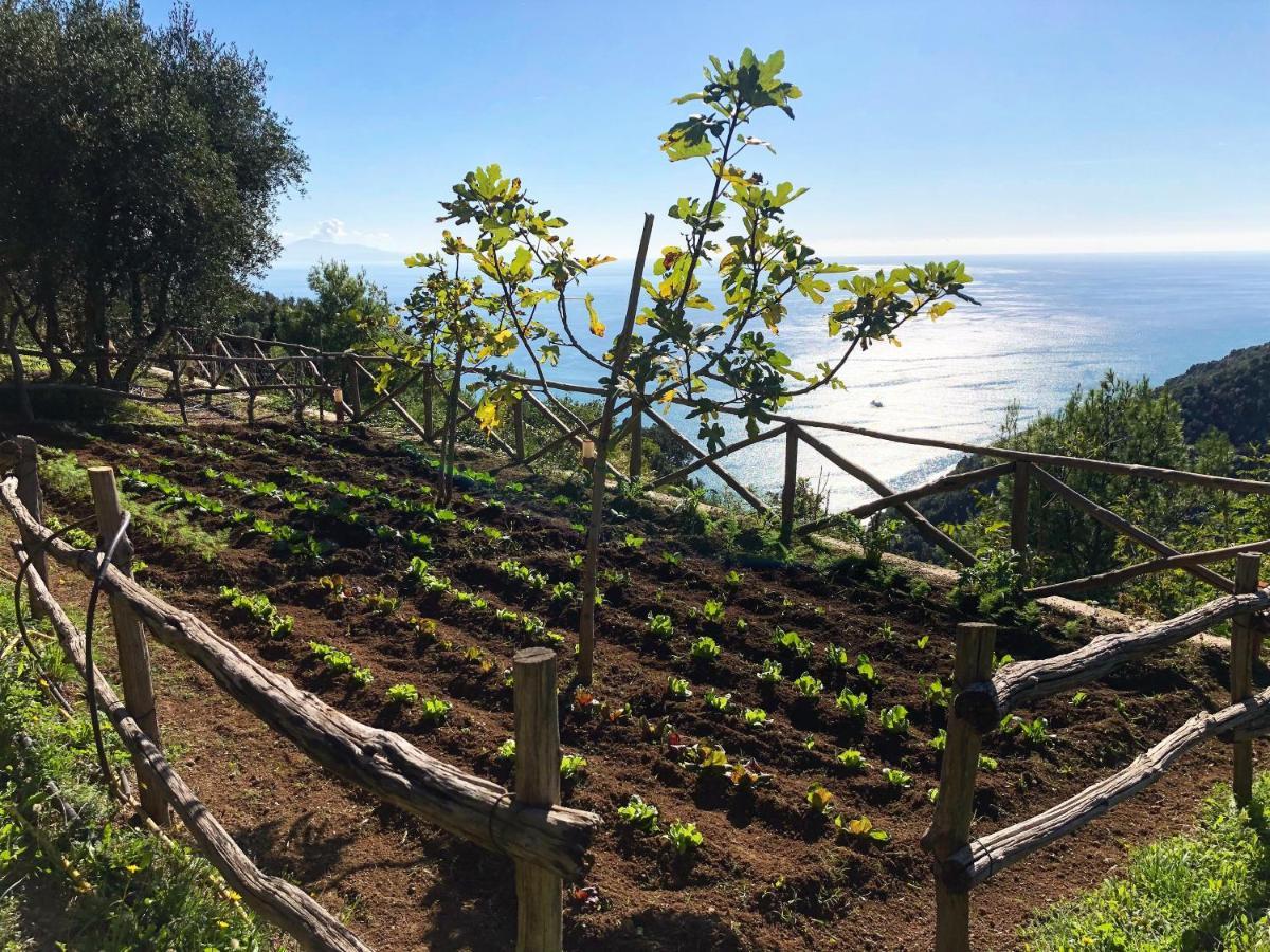 Casa Flora Panzió Vietri Kültér fotó