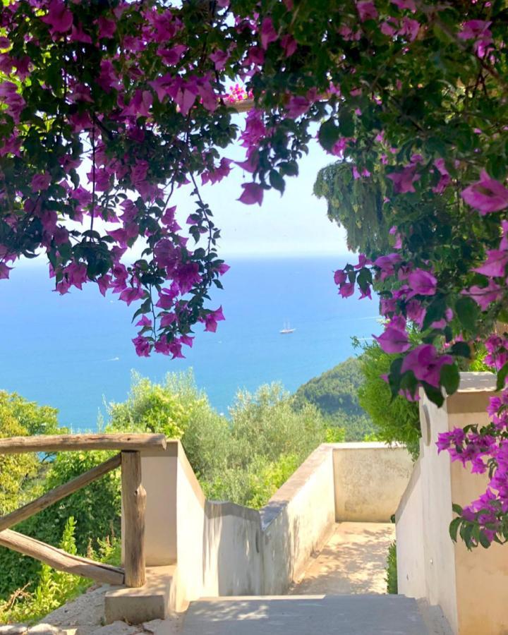 Casa Flora Panzió Vietri Kültér fotó