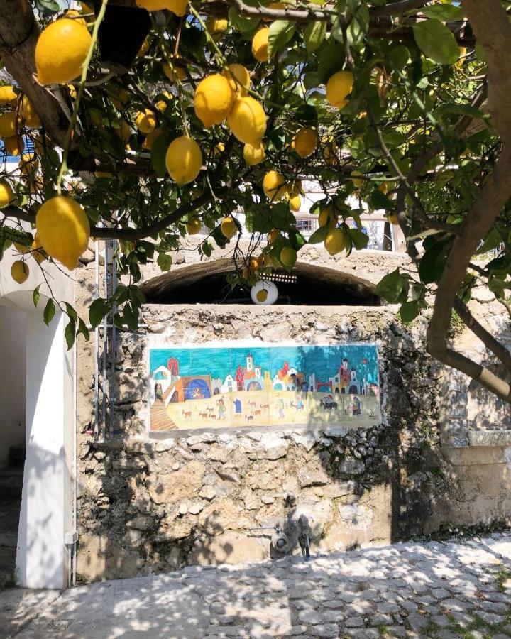 Casa Flora Panzió Vietri Kültér fotó