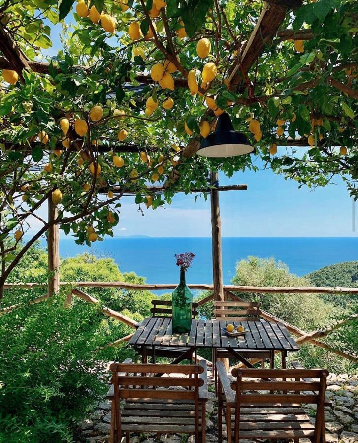 Casa Flora Panzió Vietri Kültér fotó