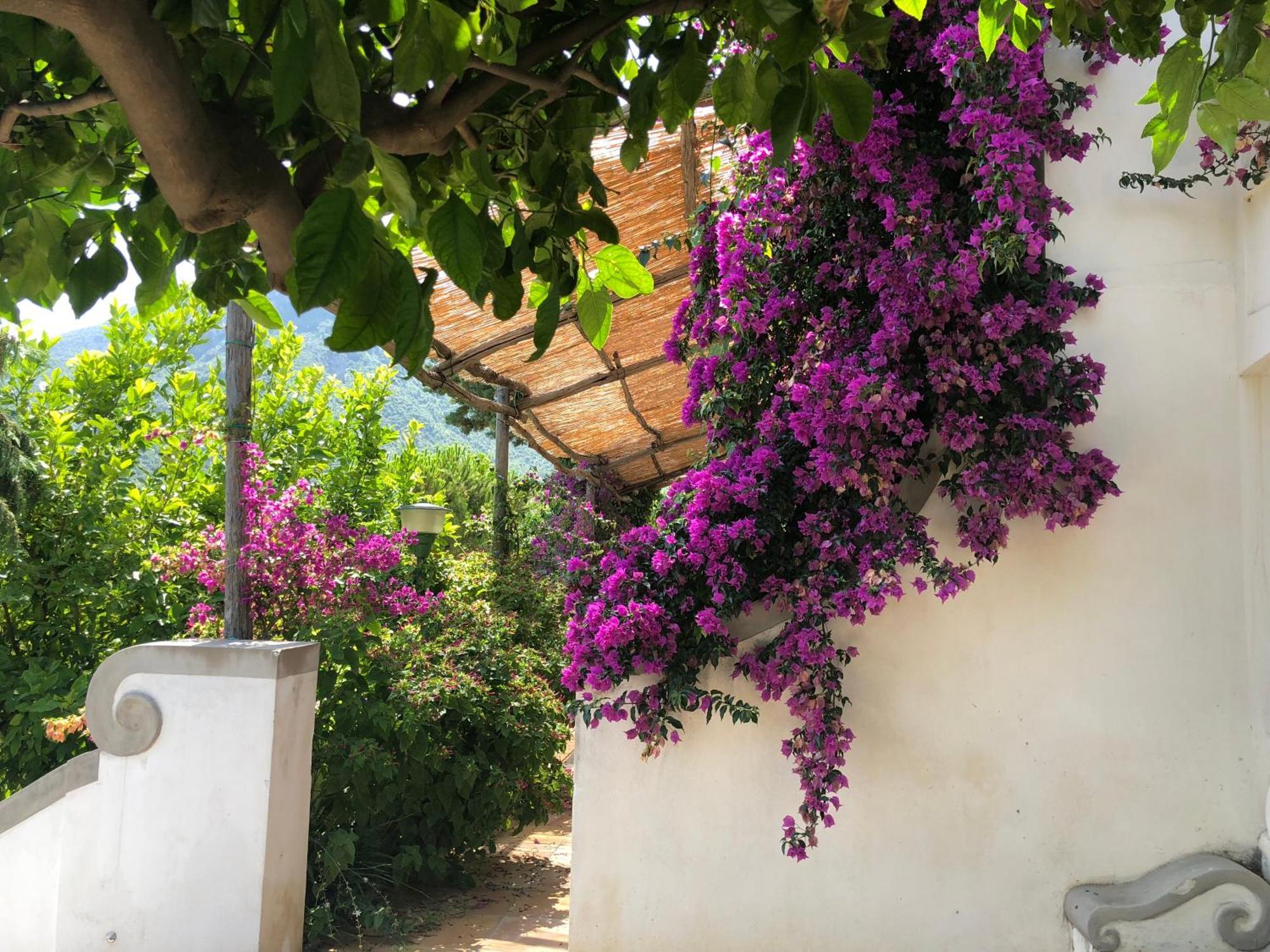Casa Flora Panzió Vietri Kültér fotó