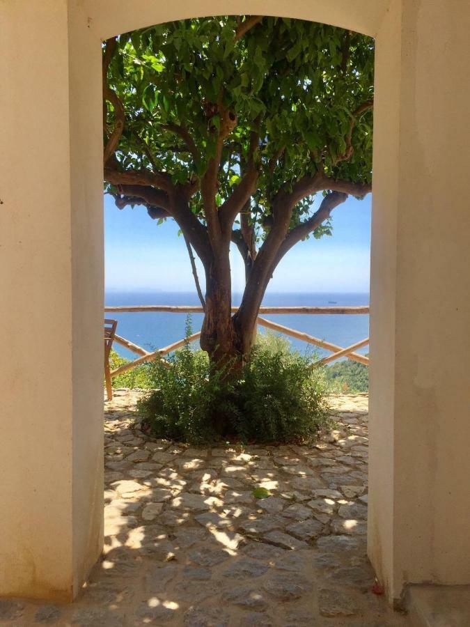Casa Flora Panzió Vietri Kültér fotó